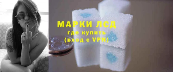 молекула духа Снежногорск
