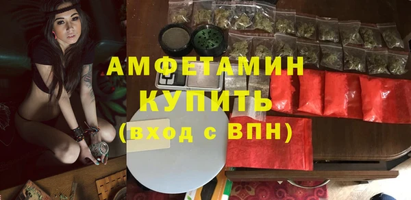 молекула духа Снежногорск