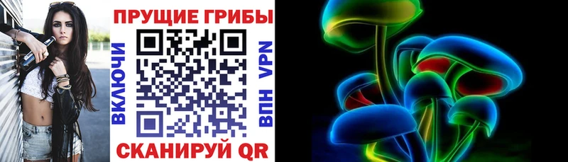 kraken зеркало Калач-на-Дону Галлюциногенные грибы Cubensis дарк нет наркотические препараты закладка
