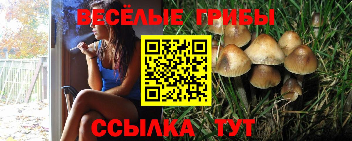 Калач-на-Дону  Галлюциногенные грибы ЛСД  Вход с VPN  Псилоцибиновые грибы Psilocybe 